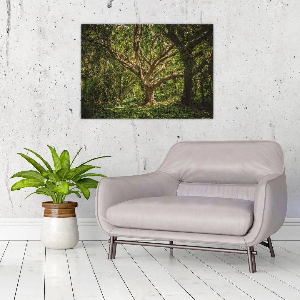 Obraz na szkle drzewa (70x50 cm)