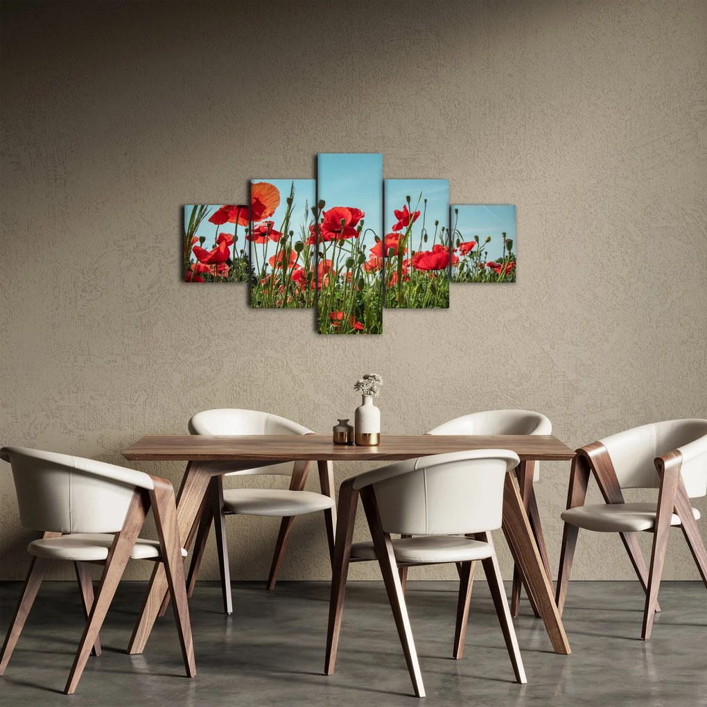 Obraz - Na polu maków (125x70 cm)