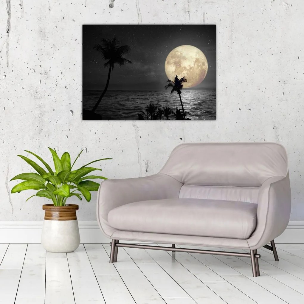 Obraz na szkle - Plaża pod pełnią księżyca w odcieniach szarości (70x50 cm)