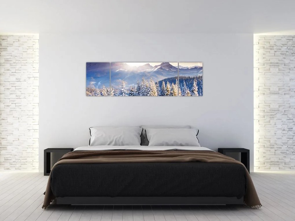 Obraz - Krajobraz górski zimą (170x50 cm)