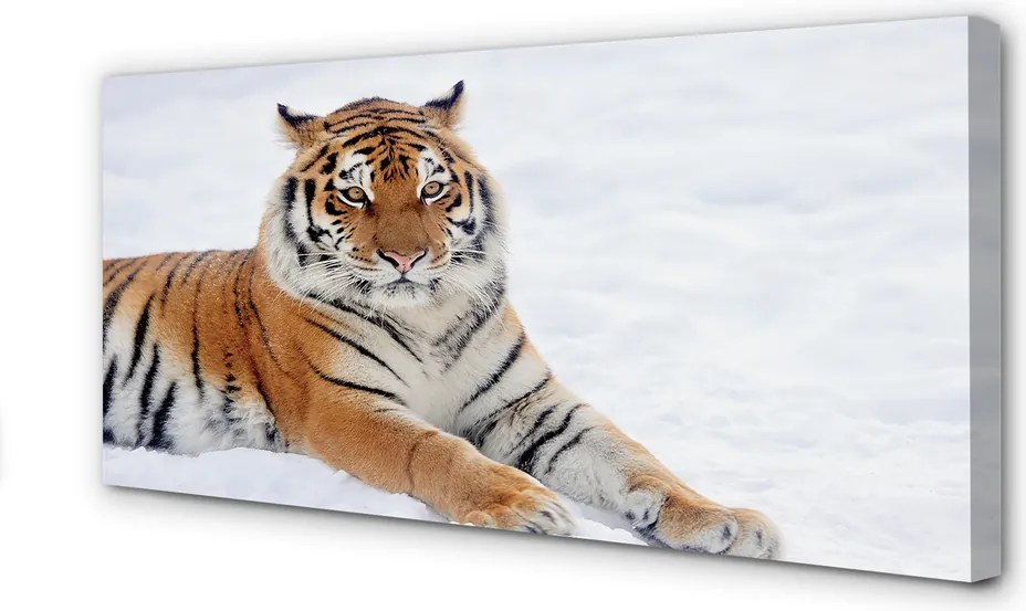 Fotoobraz na płótnie Tygrys w Zimowej Scenerii
