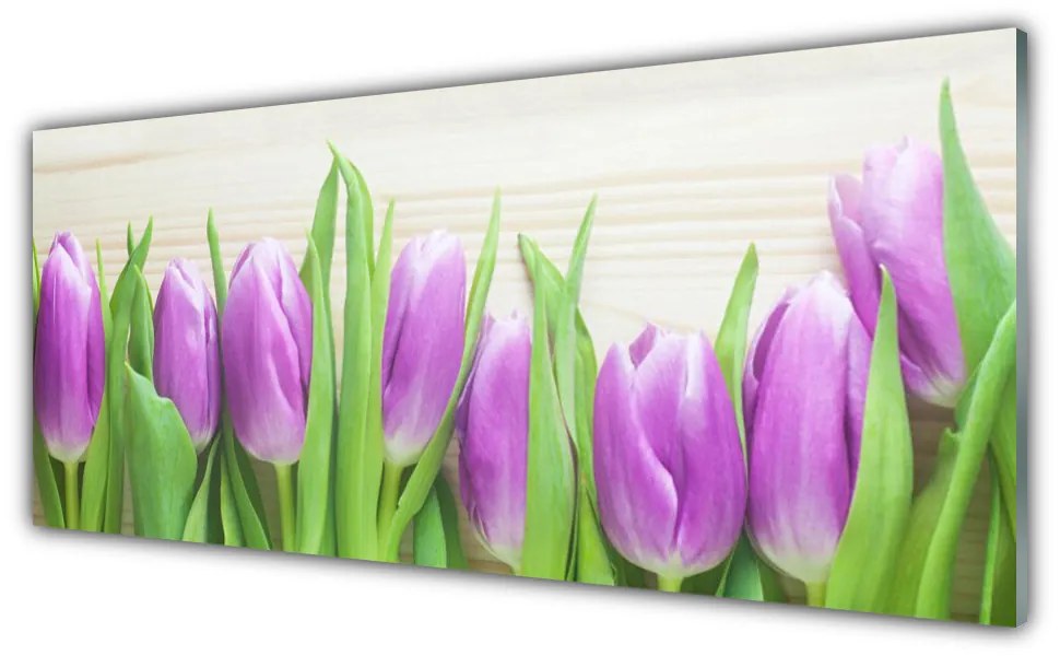 Obraz Akrylowy Tulipany Kwiaty Natura