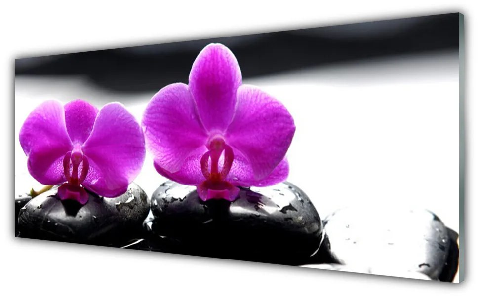 Obraz Akrylowy Kwiaty Orchidea Natura