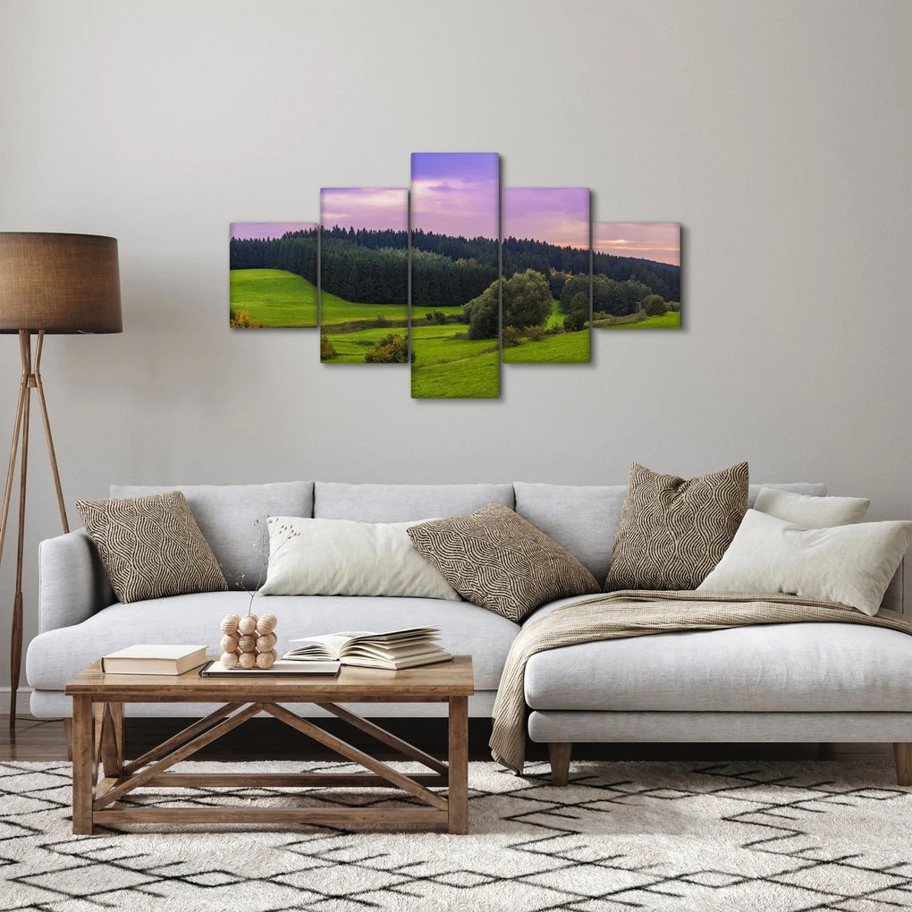 Obraz łąki (125x70 cm)
