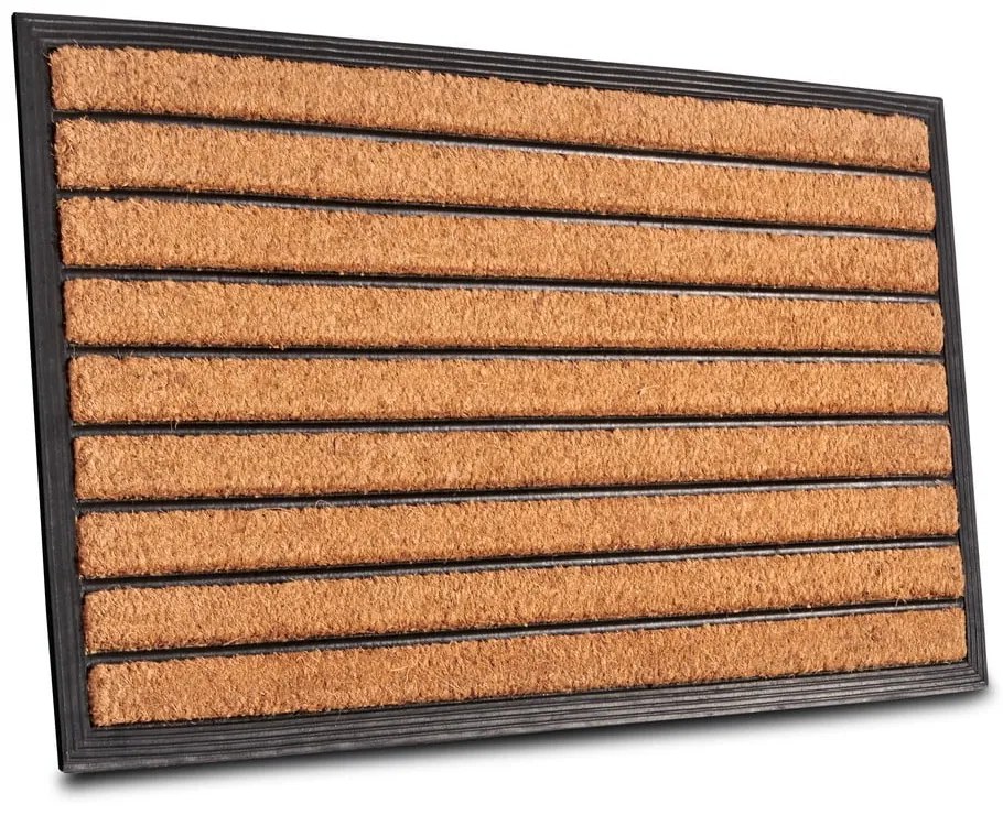 Wycieraczka z włókna kokosowego 45x75 cm Striped – Hanse Home