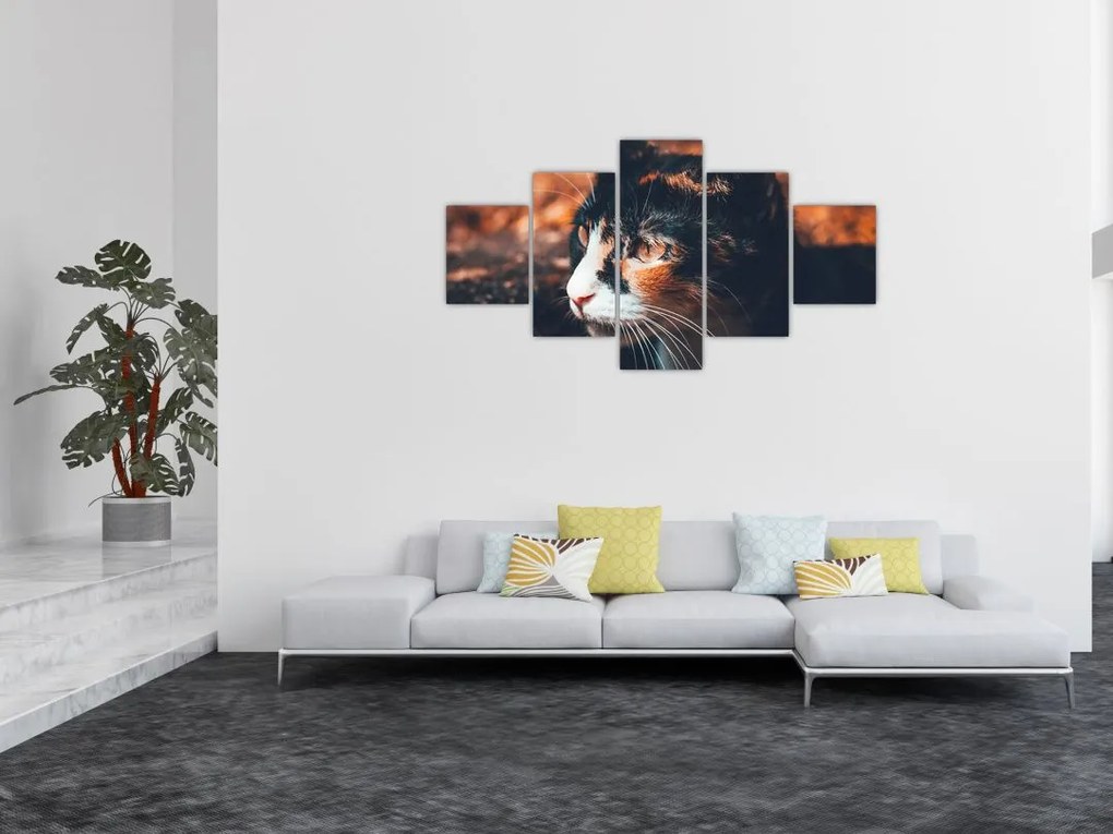 Obraz - Spojrzenie kota (125x70 cm)