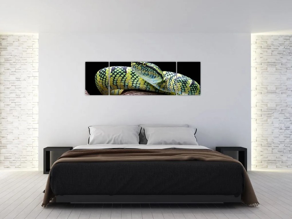 Obraz - Grzechotnik Waglera (170x50 cm)