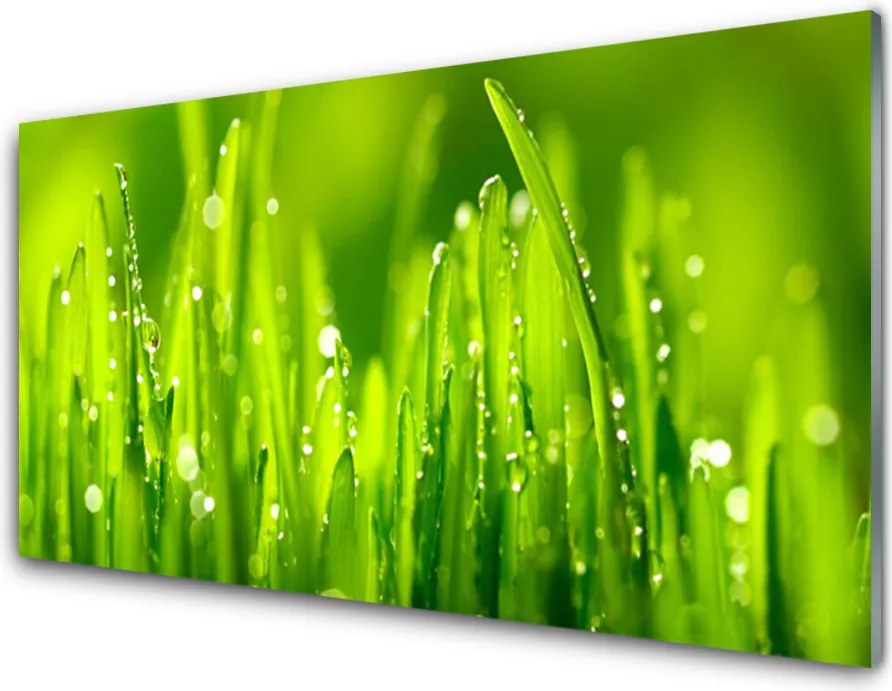 Szkło do Kuchni na Ścianę Poranne Perły na Trawie