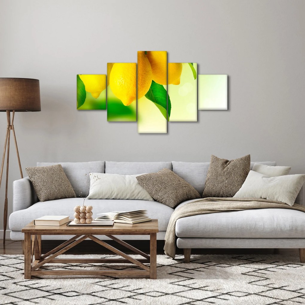 Obraz cytryn (125x70 cm)