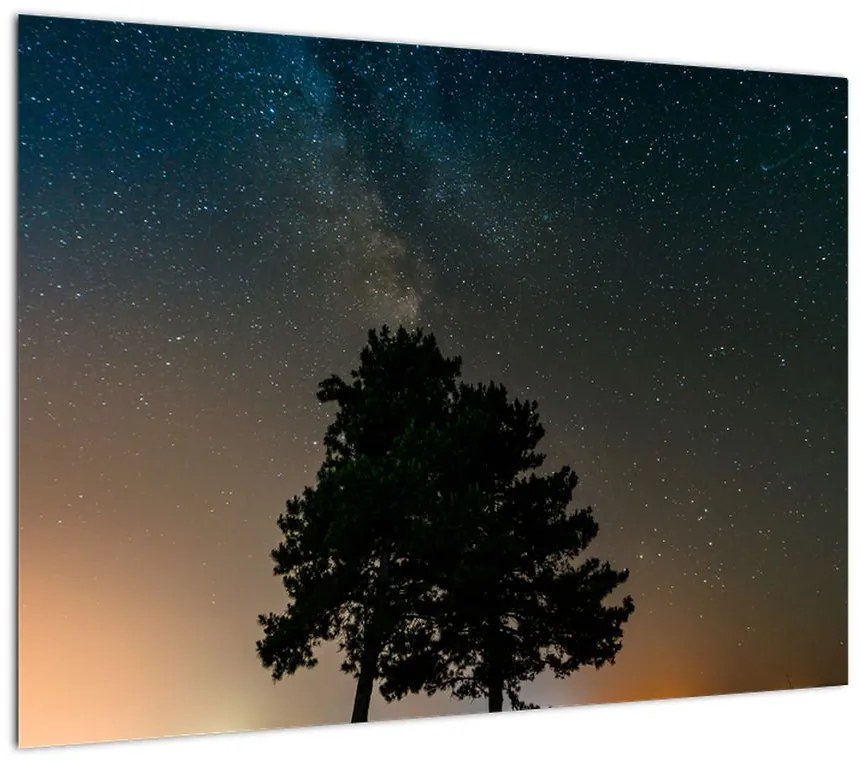 Obraz nocnego nieba z drzewami (70x50 cm)