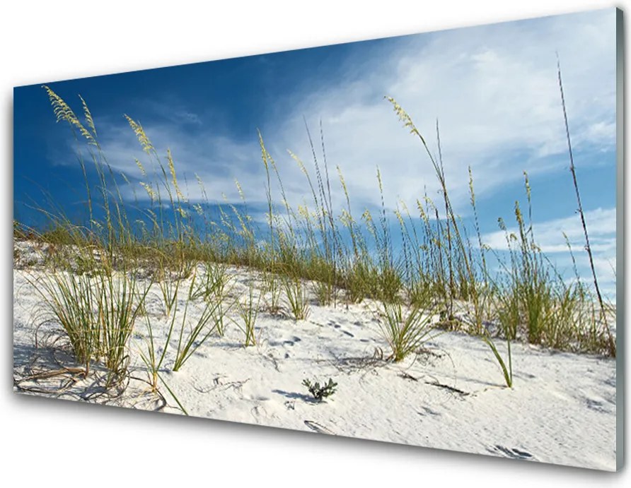 Szkło do Kuchni na Ścianę Złoty Brzeg Oceanu