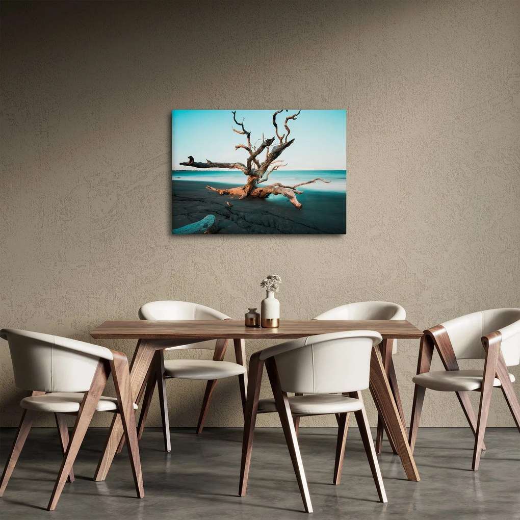 Obraz - Wyłowiono na plaży (70x50 cm)