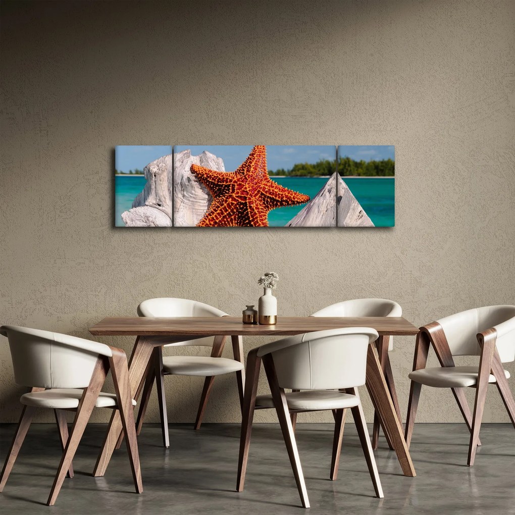 Obraz rozgwiazdy (170x50 cm)