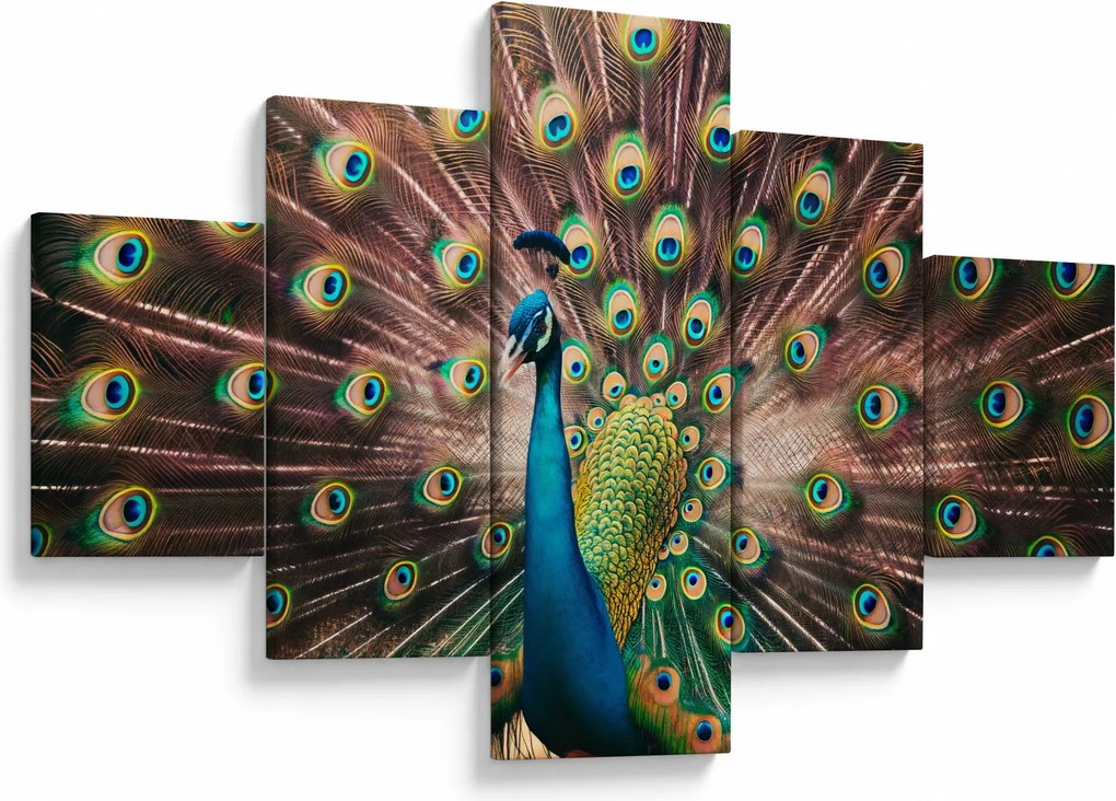 Obraz - Paw (125x70 cm)