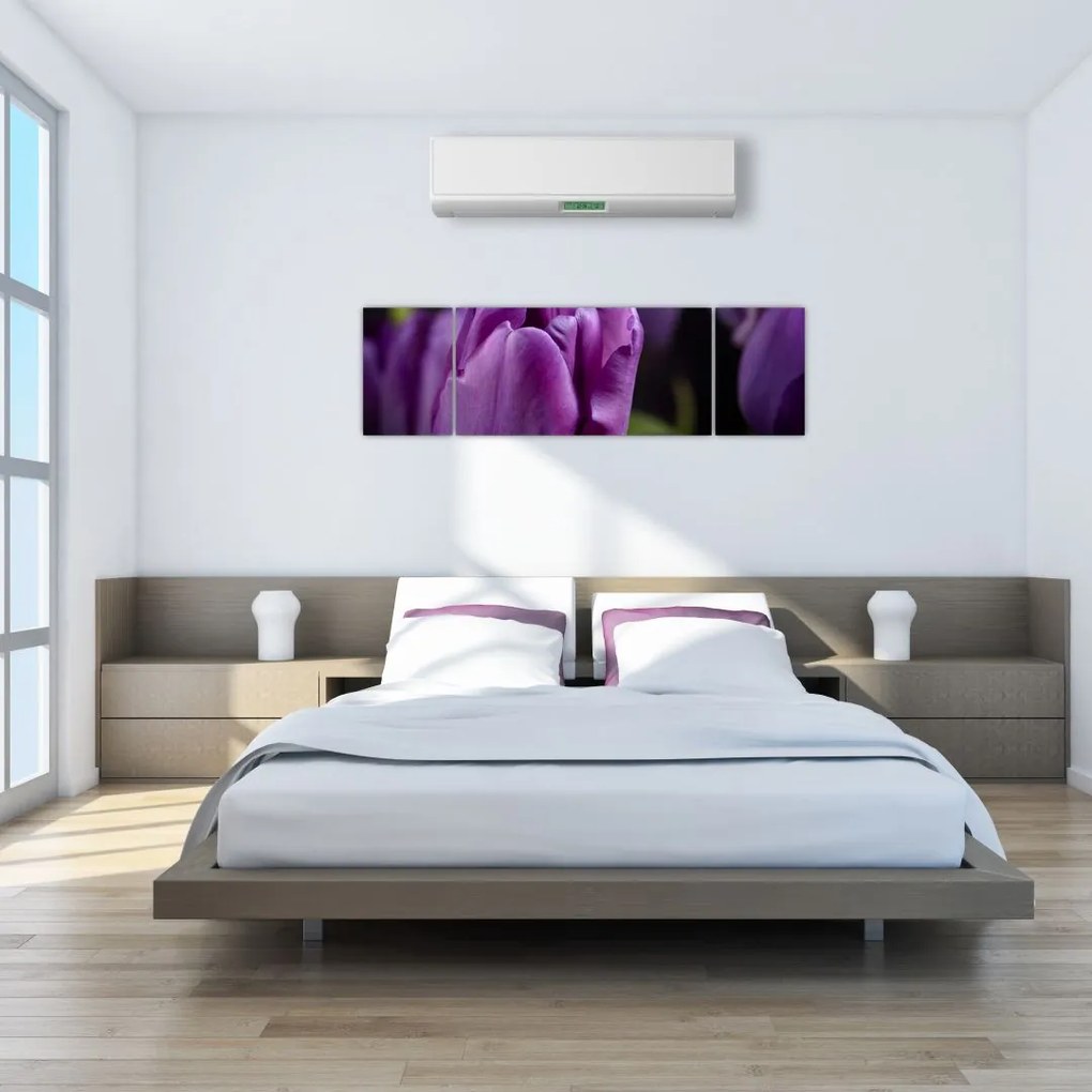 Obraz kwiatów tulipanów (170x50 cm)