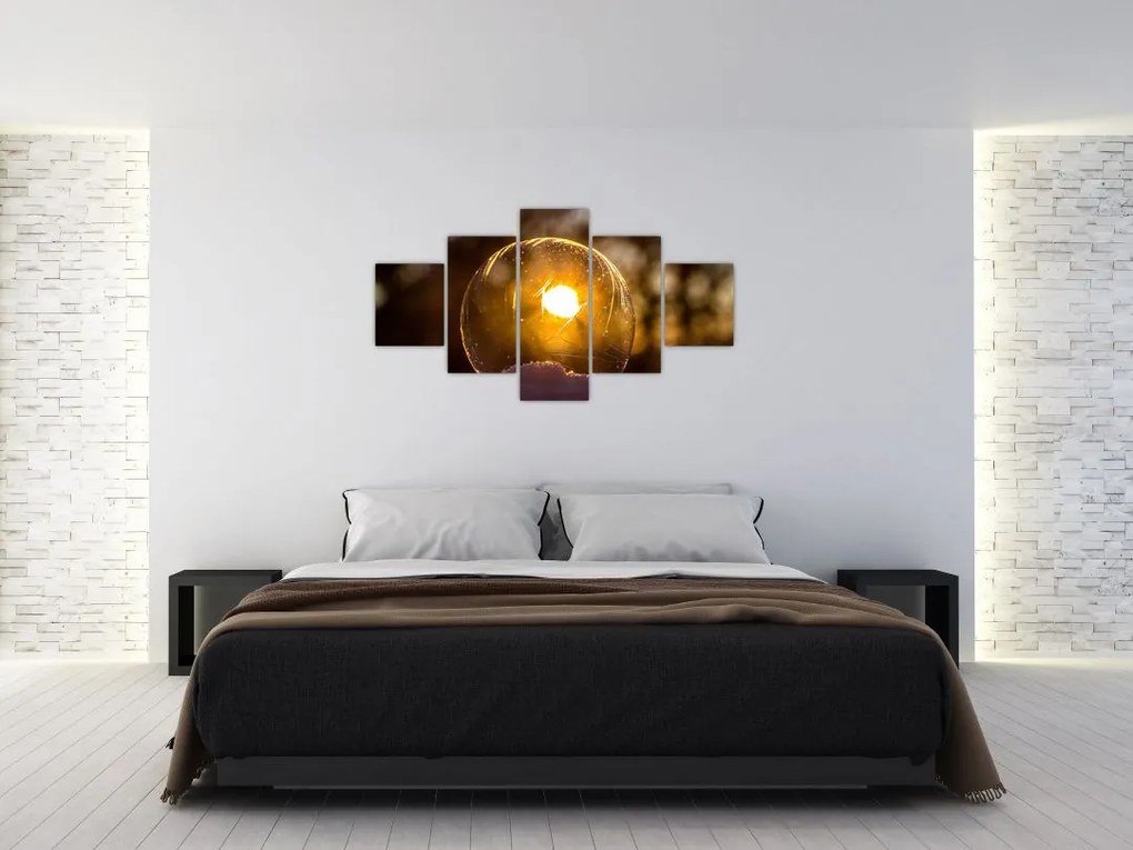 Obraz - Przezroczysta bańka (125x70 cm)
