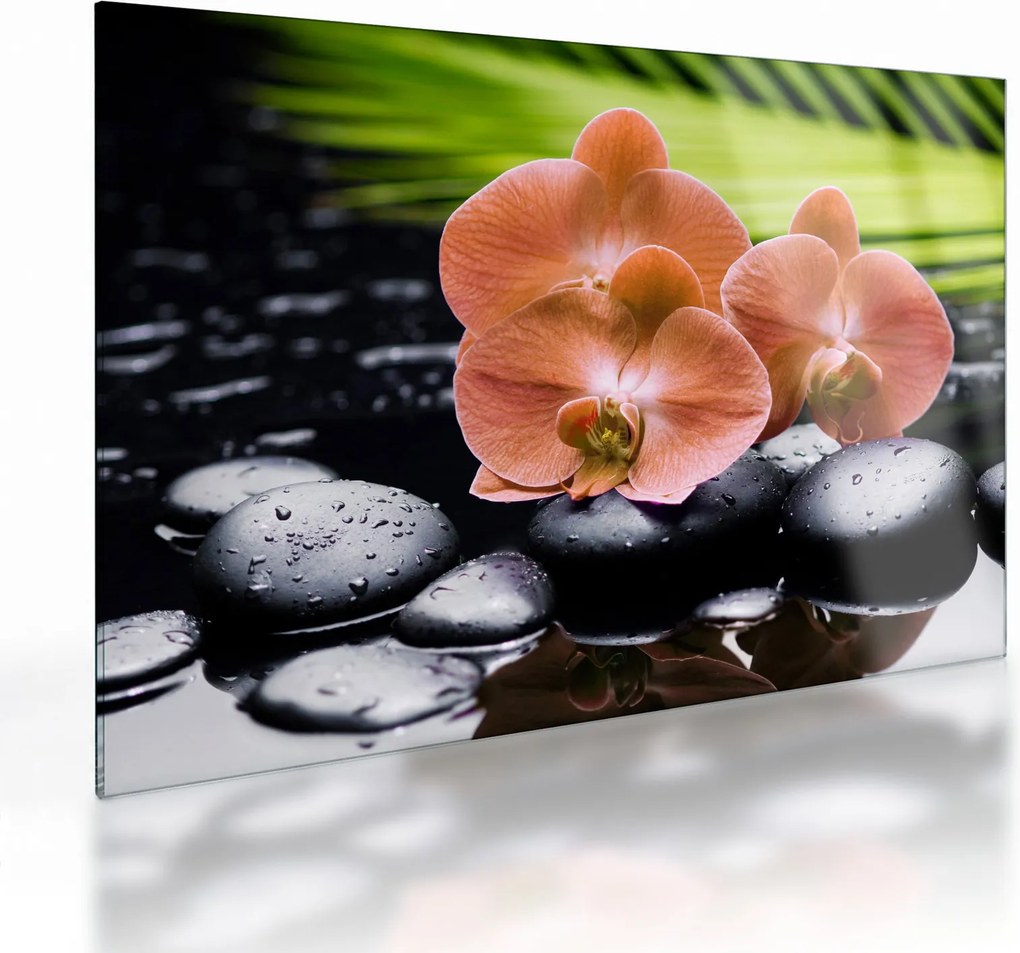 Obraz na szkle - Pomarańczowa orchidea z liśćmi palmy (70x50 cm)