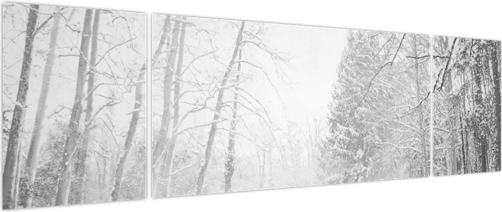 Obraz - Drewniane molo zimą (170x50 cm)