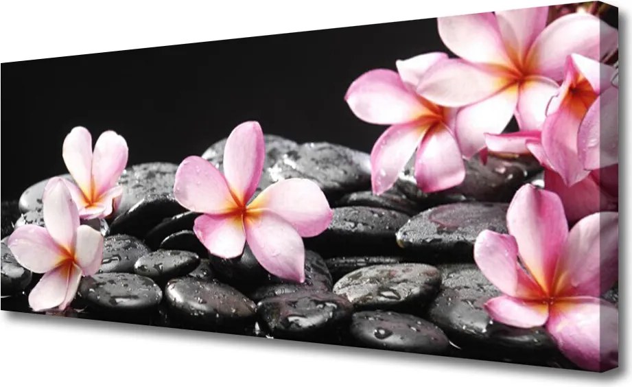 Zdjęcie na płótnie Egzotyczny Kwiat Plumerii