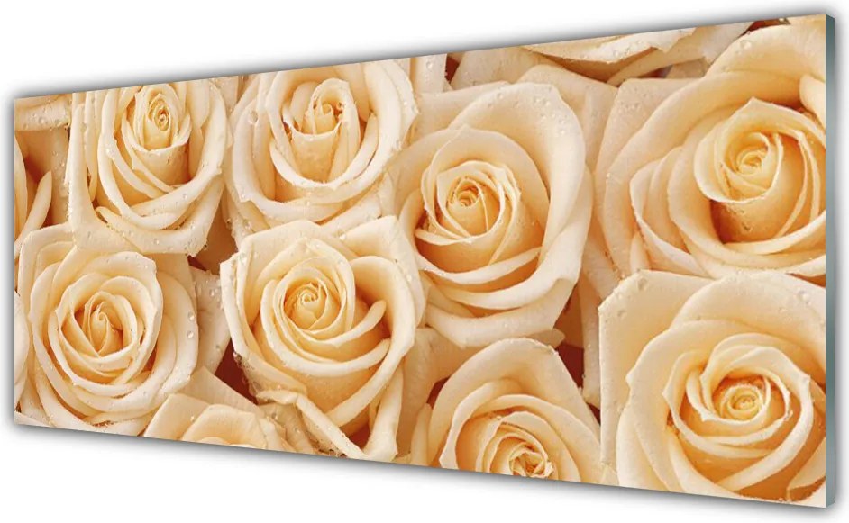 Panel Kuchenny Aksamitne Róże w Pąkach