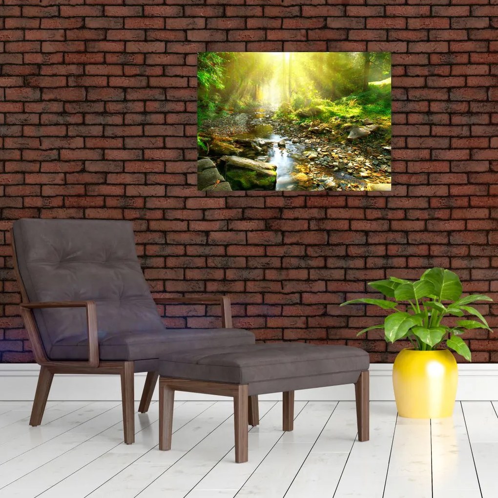 Obraz rzeki w zielonym lesie (70x50 cm)