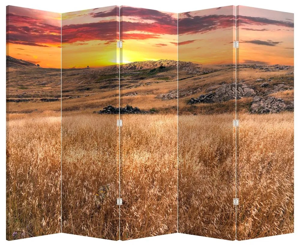 Parawan - Pole (210x170 cm)