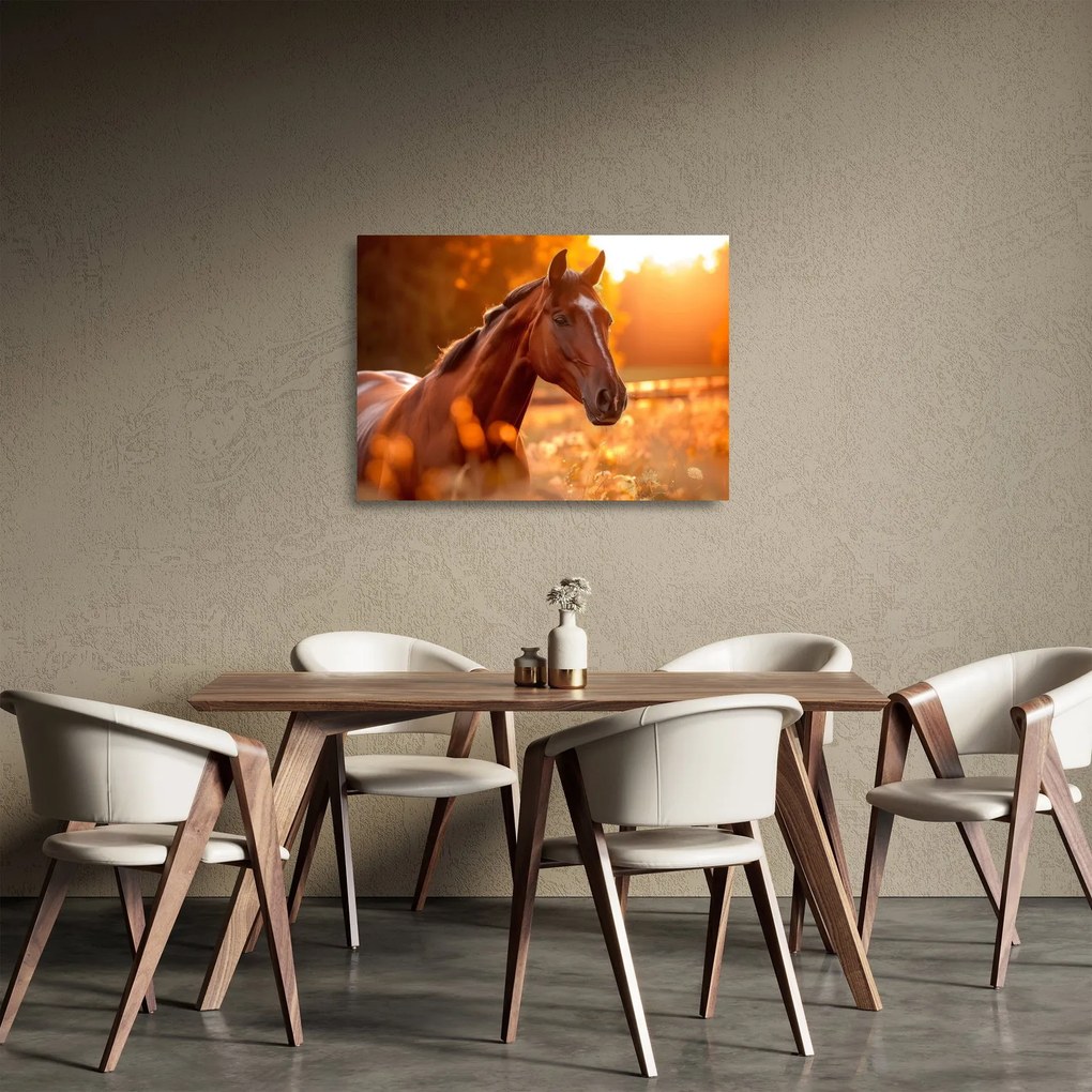 Obraz na szkle - Koń o zachodzie słońca (70x50 cm)