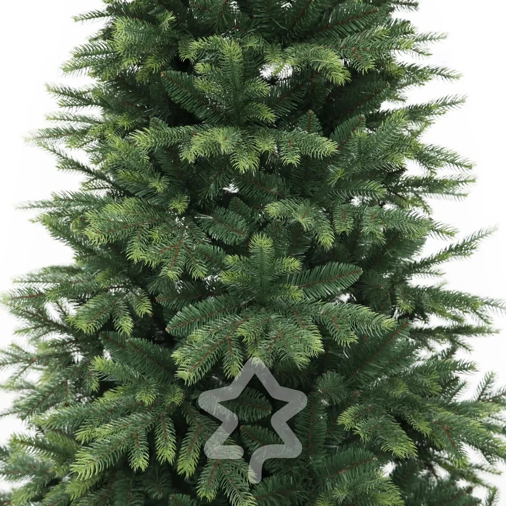 Świerk himalajski 150 cm