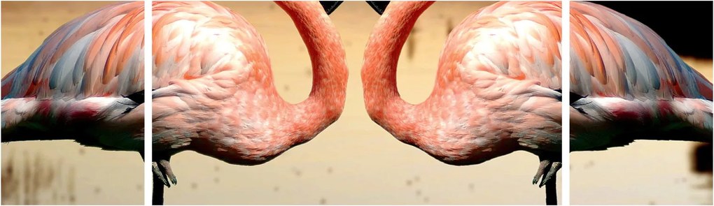 Obraz - dwa flamingi (170x50 cm)