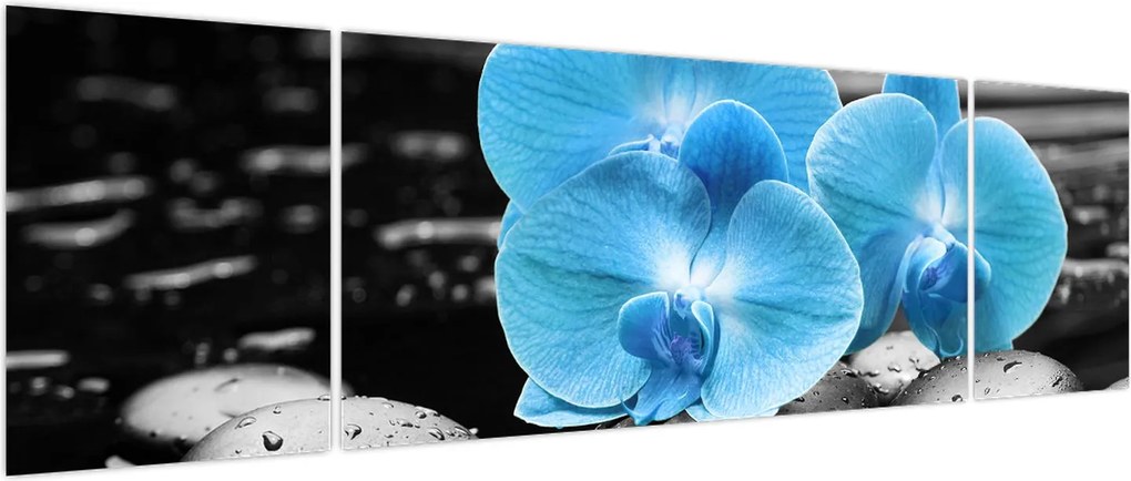 Obraz - Niebieska Orchidea (170x50 cm)