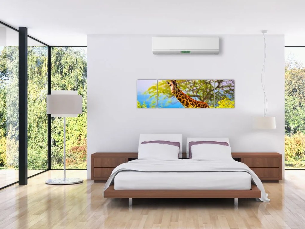 Obraz żyrafy w Afryce (170x50 cm)