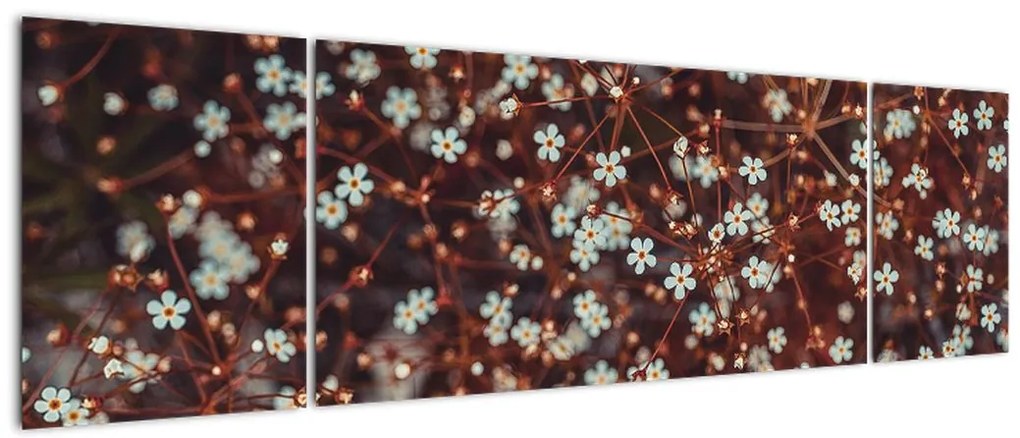 Obraz kwiatu niezapominajki (170x50 cm)