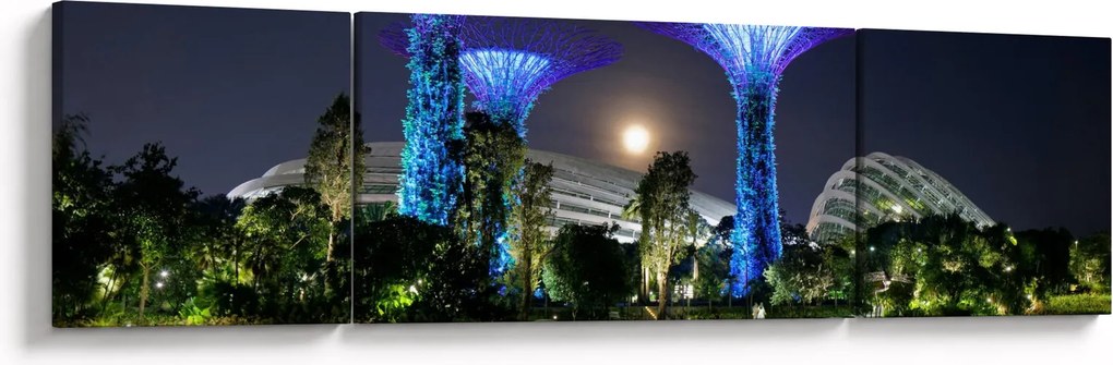 Obraz przedstawiający pełnię księżyca w ogrodach Singapuru (170x50 cm)