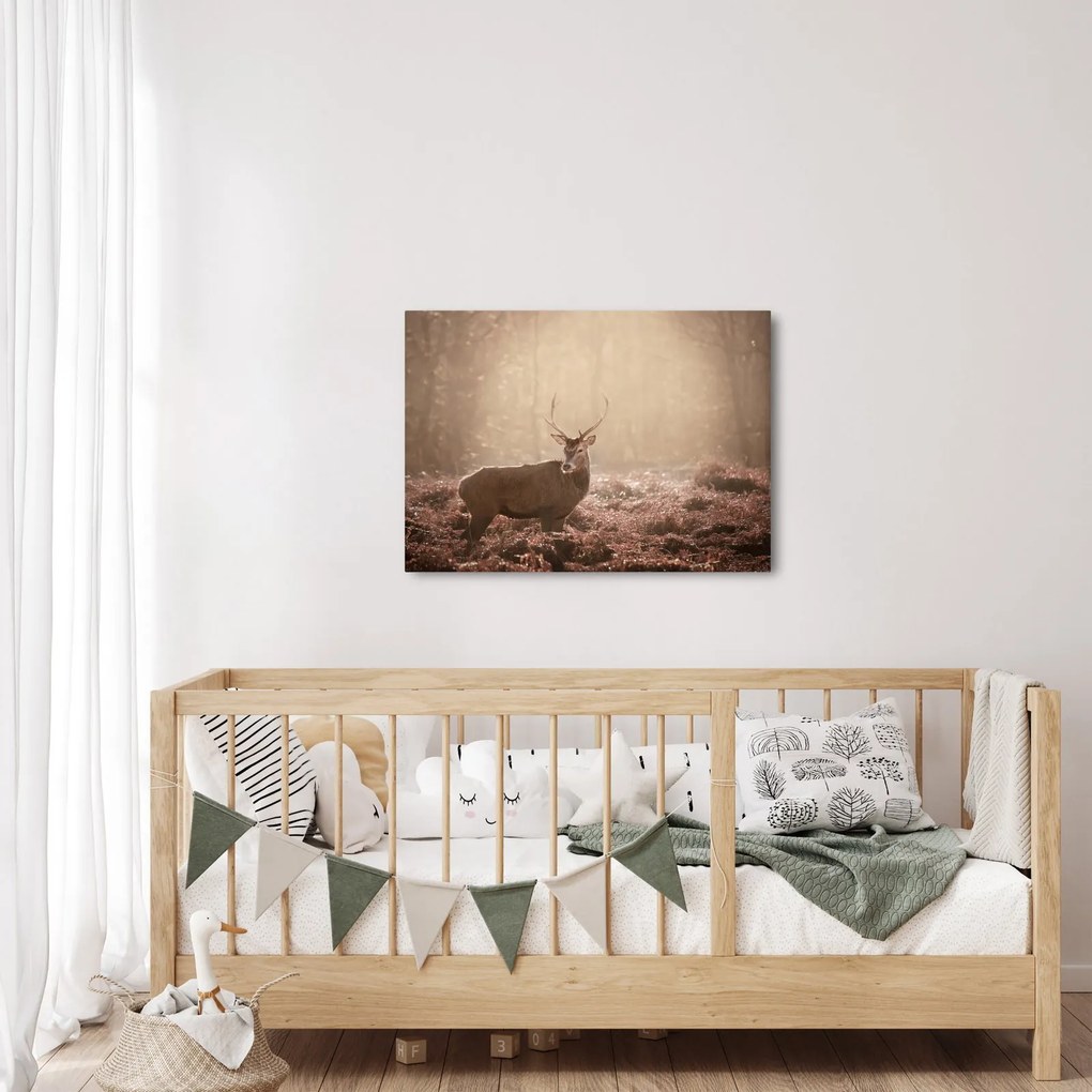 Obraz - Jeleń w lesie (70x50 cm)
