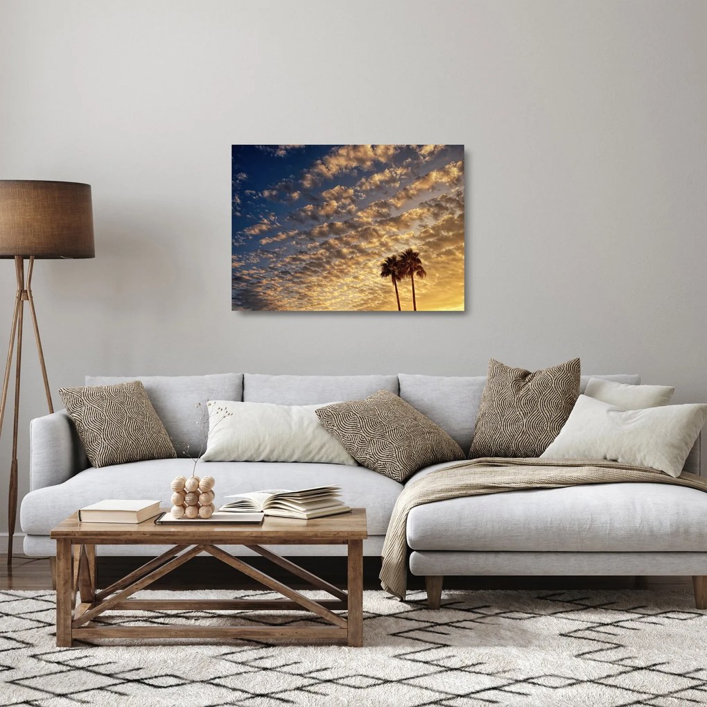 Obraz na szkle - palmy pośród chmur (70x50 cm)