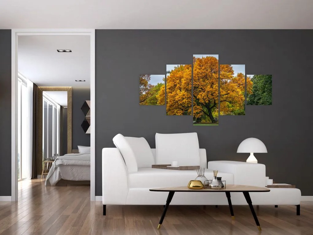 Obraz drzewa (125x70 cm)