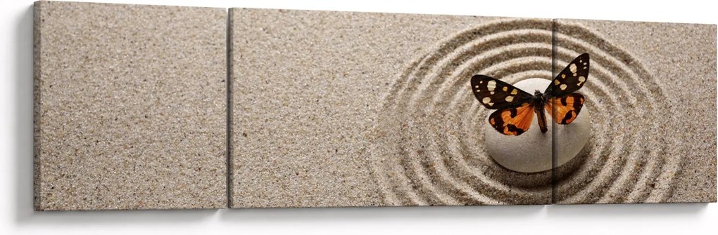 Obraz - Ogród zen (170x50 cm)