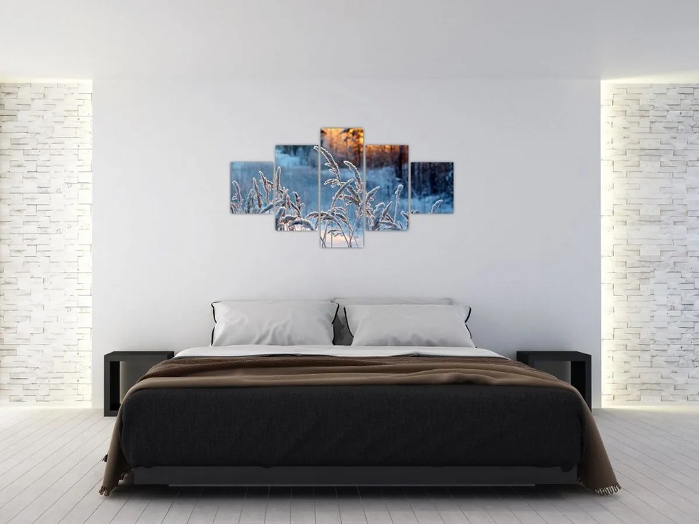Obraz - Zimowa łąka (125x70 cm)
