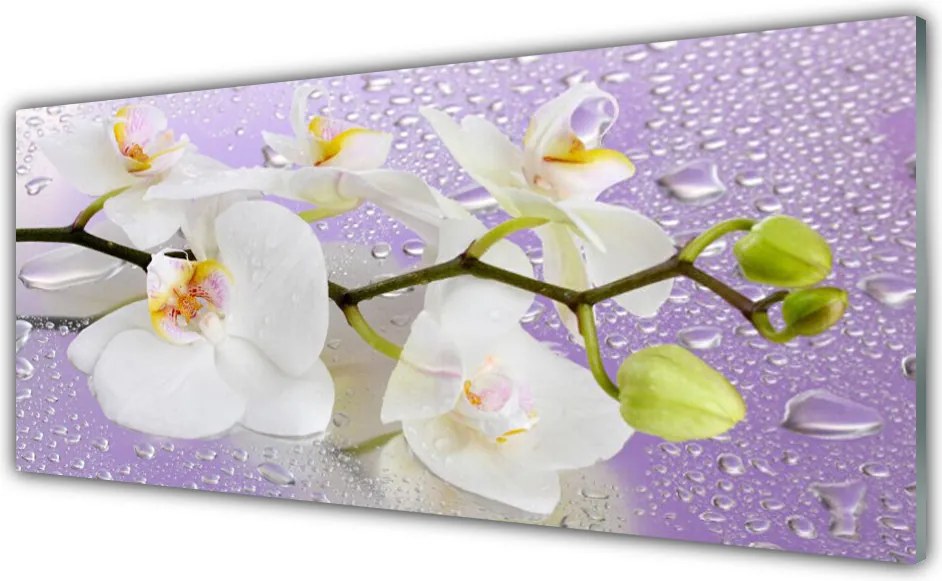 Szkło do Kuchni na Ścianę Pełnia Kwiatowego Rozkwitu