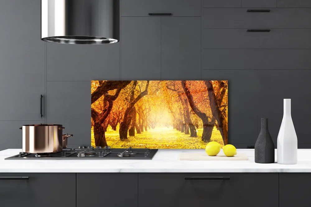 Panel Szklany Aleja W Cieniu Drzew