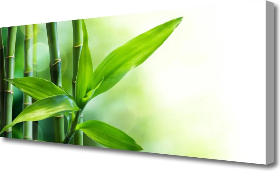 Fotoobraz na płótnie Egzotyczny Detal Liścia