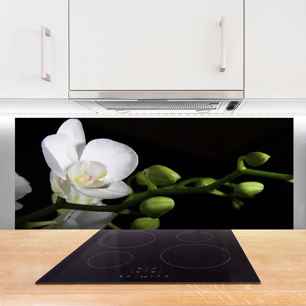 Panel Szklany Botaniczna Elegancja Kwiatów