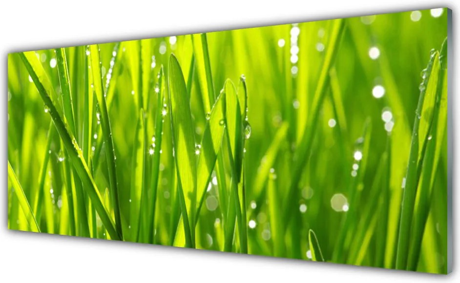 Panel Szklany do Kuchni Naturalny Urok Trawy