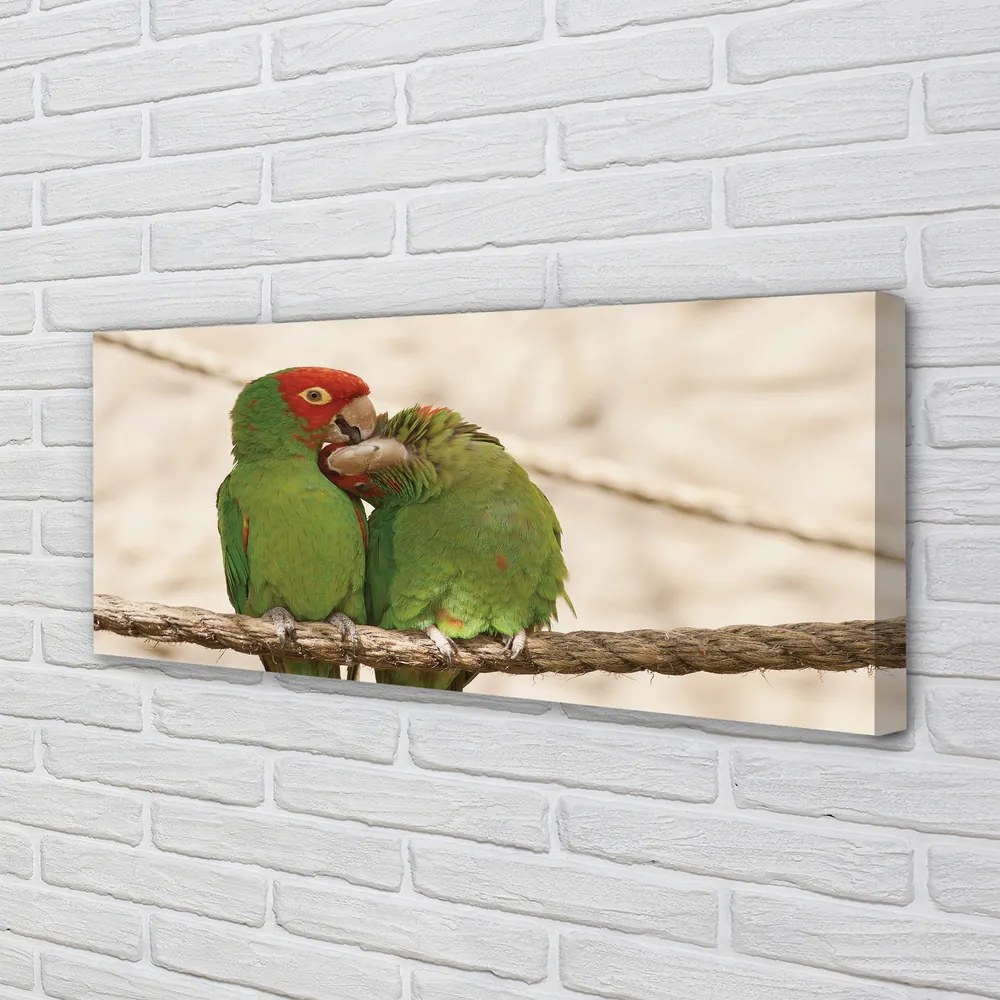 Obraz canvas na ścianę Zielone Papugi w Gęstwinie
