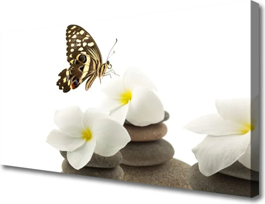 Zdjęcie na płótnie Motyl na Kamiennej Orchidei
