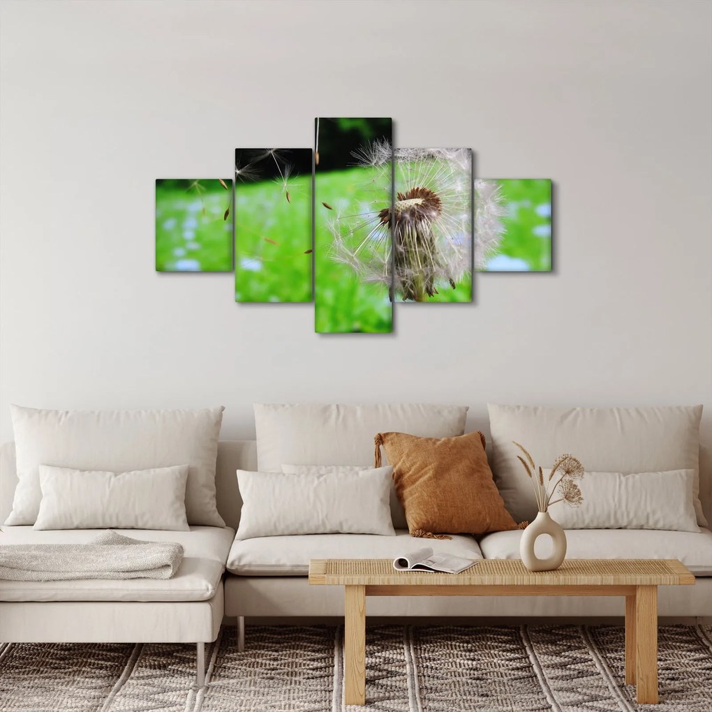 Obraz dmuchawca (125x70 cm)