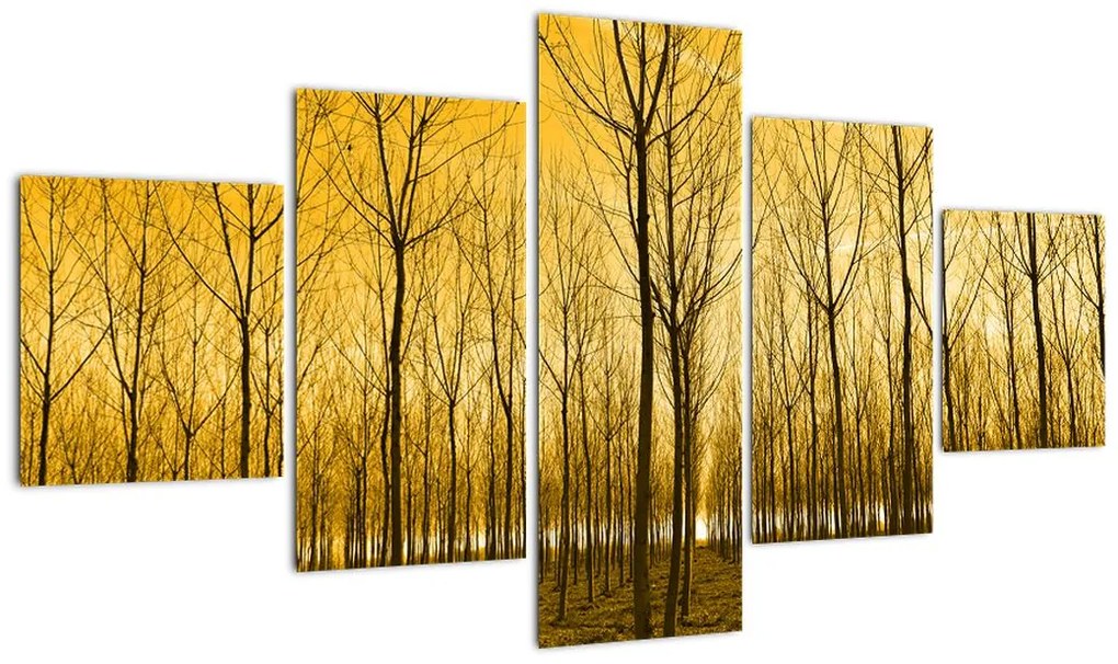 Obraz lasu o zachodzie słońca (125x70 cm)