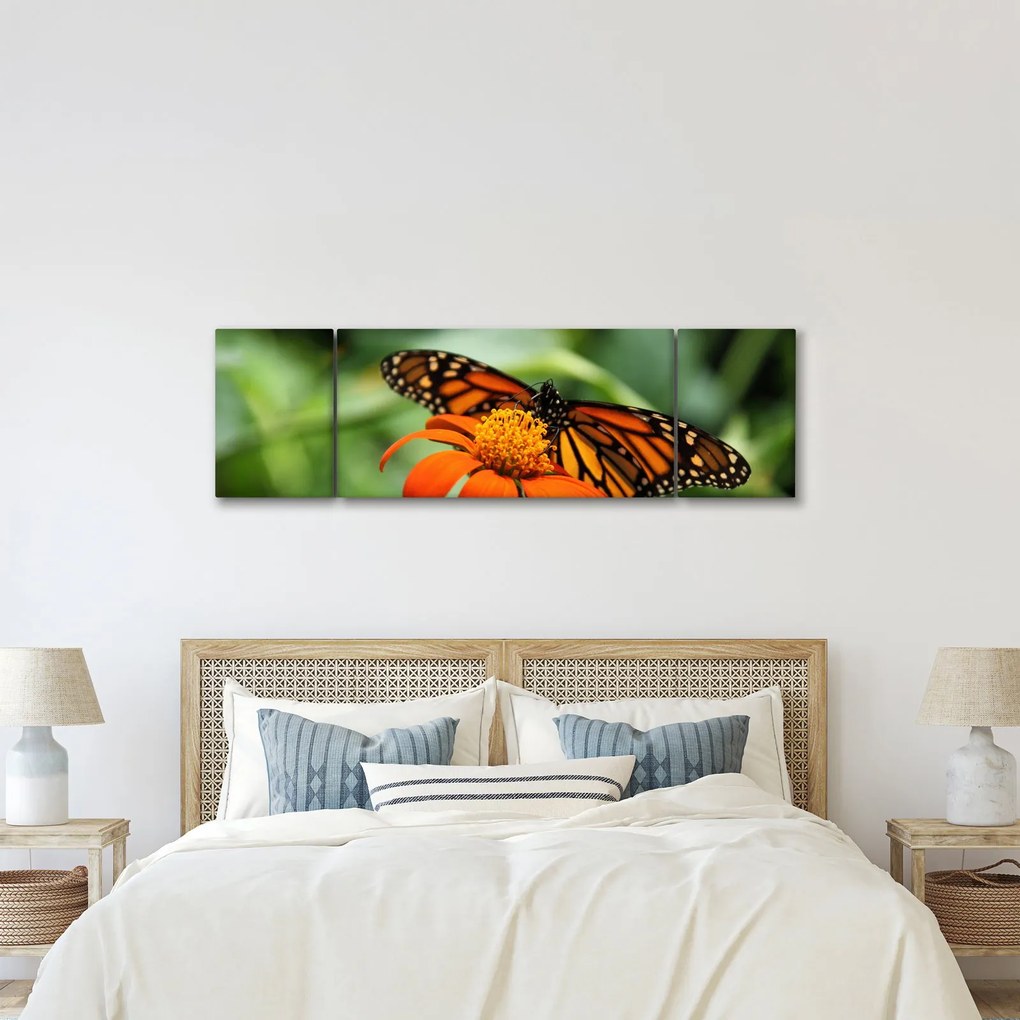 Obraz motyla na kwiatku (170x50 cm)