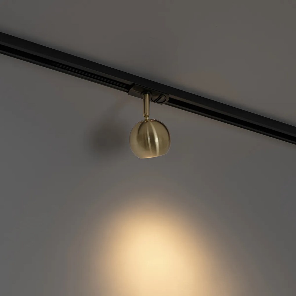 Nowoczesny reflektor szynowy jednofazowy czarny ze złotem - Gissi