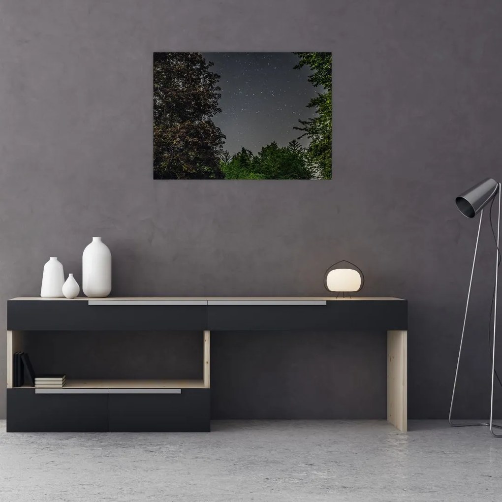 Obraz nocnego nieba (70x50 cm)